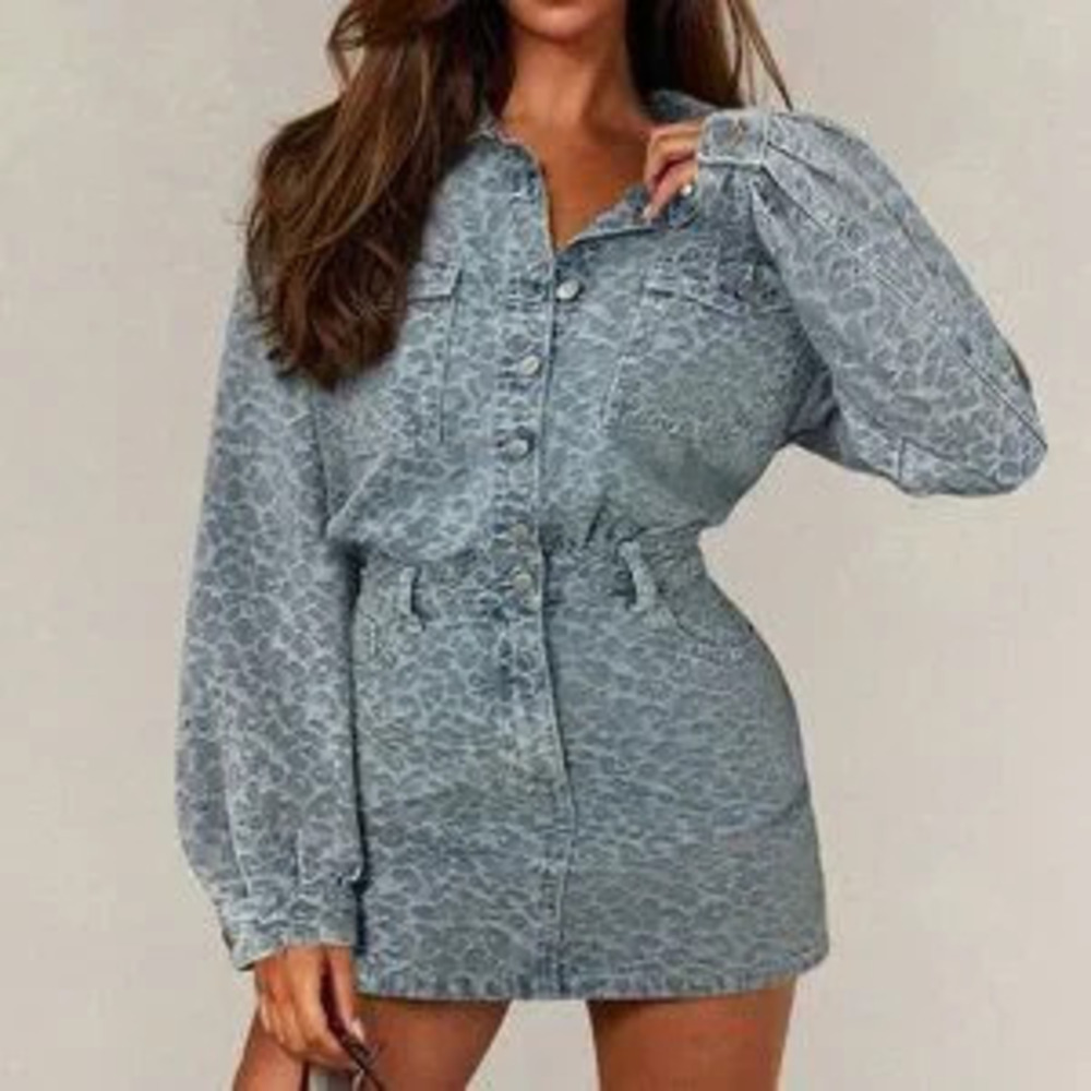 ZARA Blue Casual Women's Leopard Denim Long Sleeve Dress
